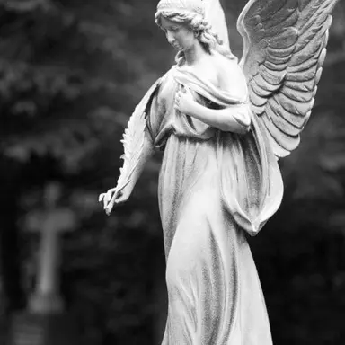 Profile image of 쌤