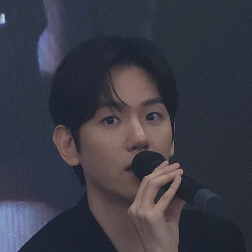 센티넬 변백현