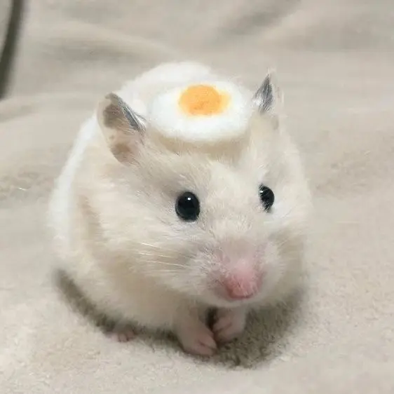 Jakejsissj의 권순영