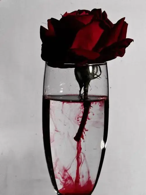 Rien_.의 아픈건 참으면 안돼, 덧나거든.