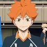 Profile image of Hinata Shoyo
