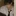 辻野 響斗