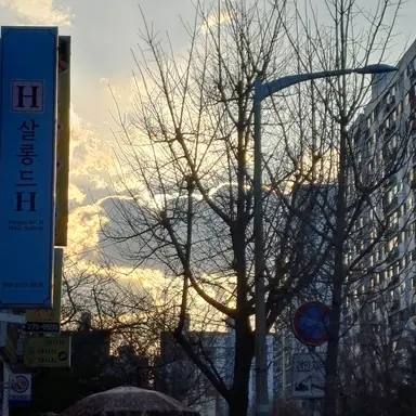 Profile image of 키미나 여우