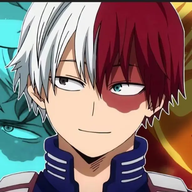 DrearyGoral6459의 Todoroki