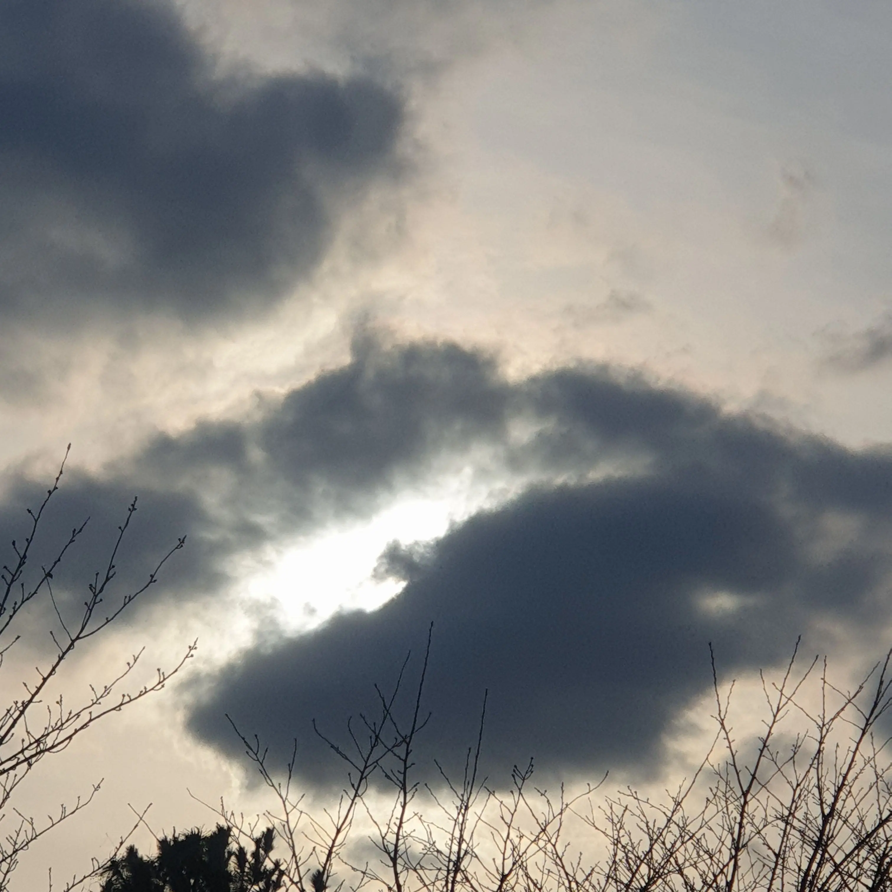 Ze_Rona의 10B랑 우결??!