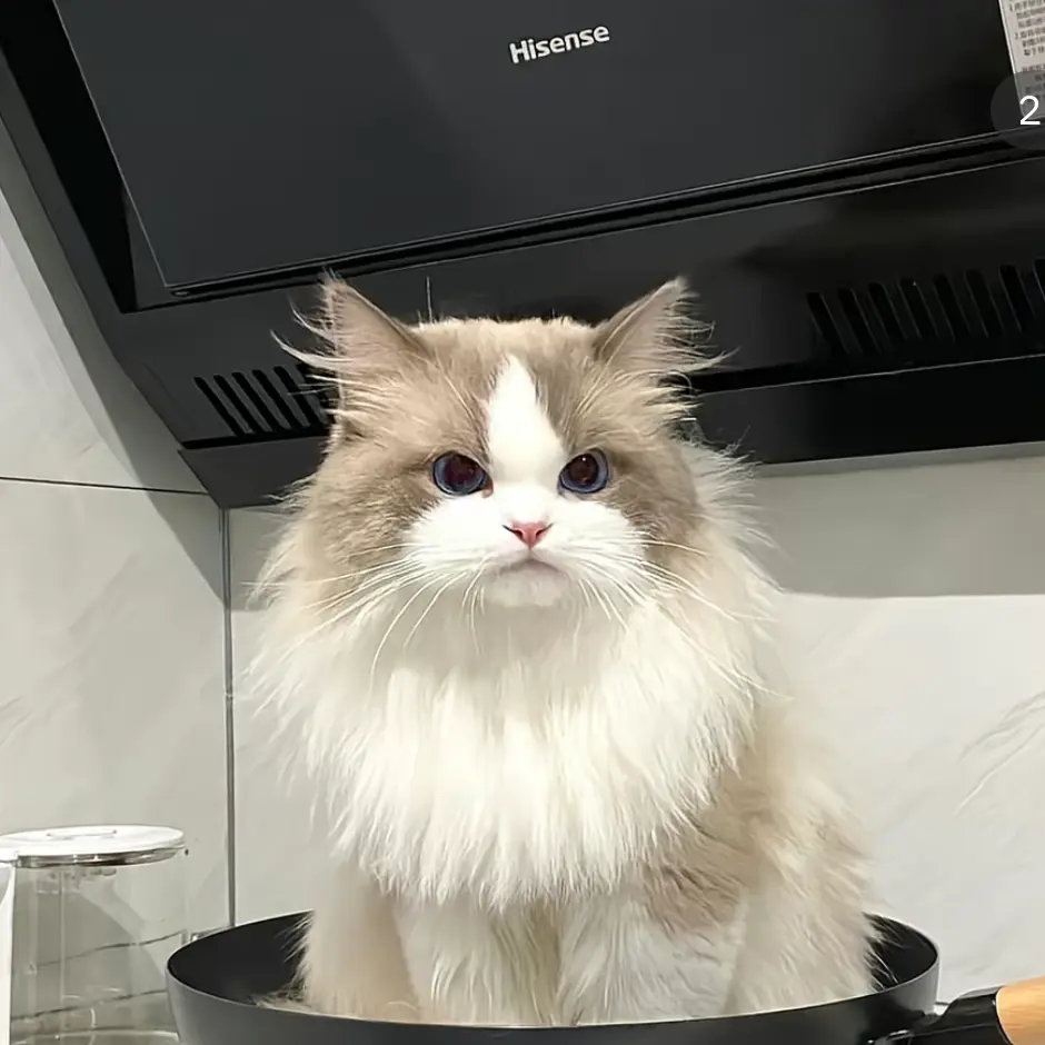 DrearyGirl1899의 고고프렌즈에 여우가 나타남요..ㅋㅋㅋ