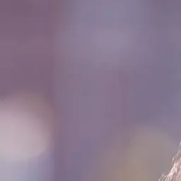 Profile image of 지헌