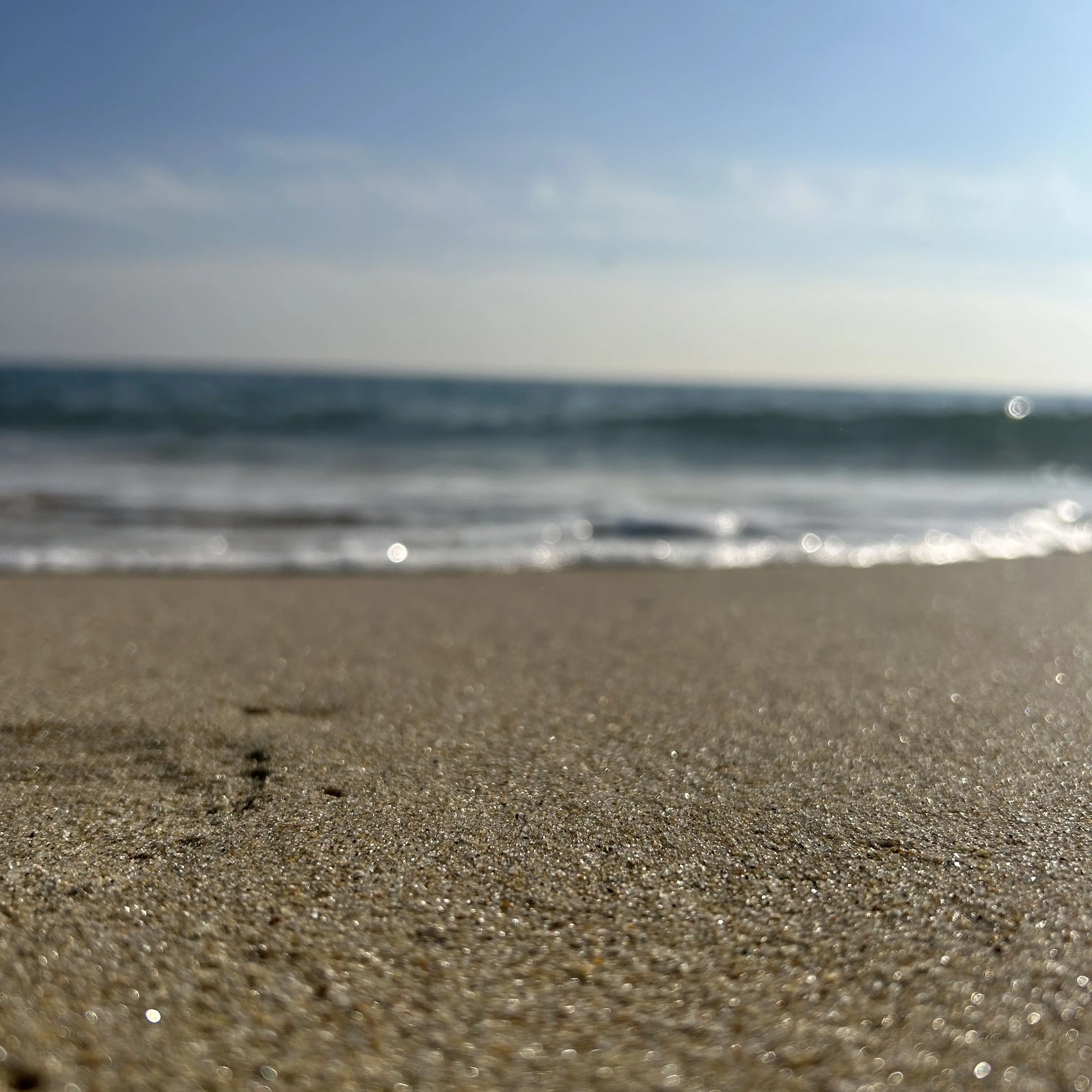 Snail101의 이늦잠