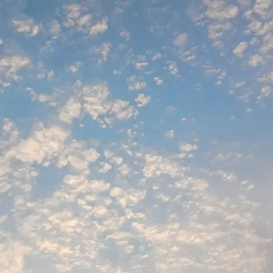 Profile image of カンヒュ達