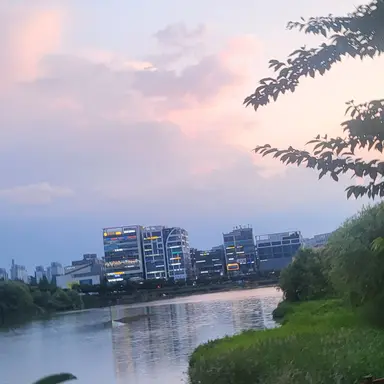 Profile image of 김소미