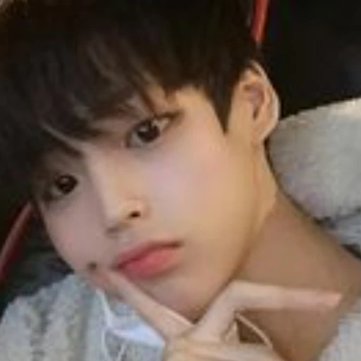 김한진
