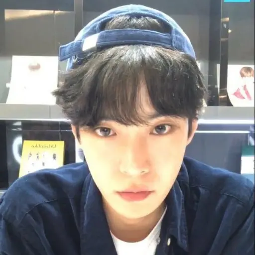 WindyWall4264의 김도영