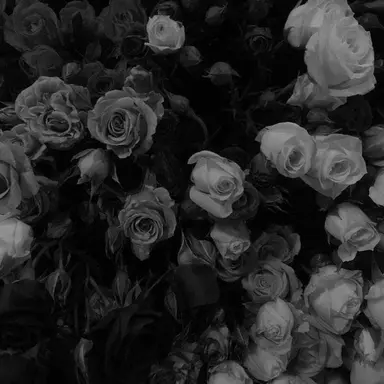 Profile image of 베너