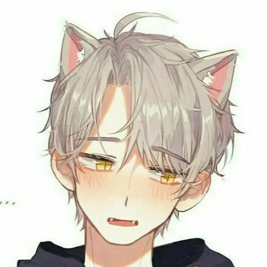 GrimHusky15843의 송재현