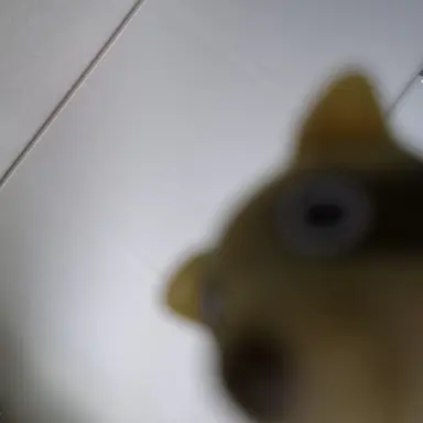 Profile image of 연준