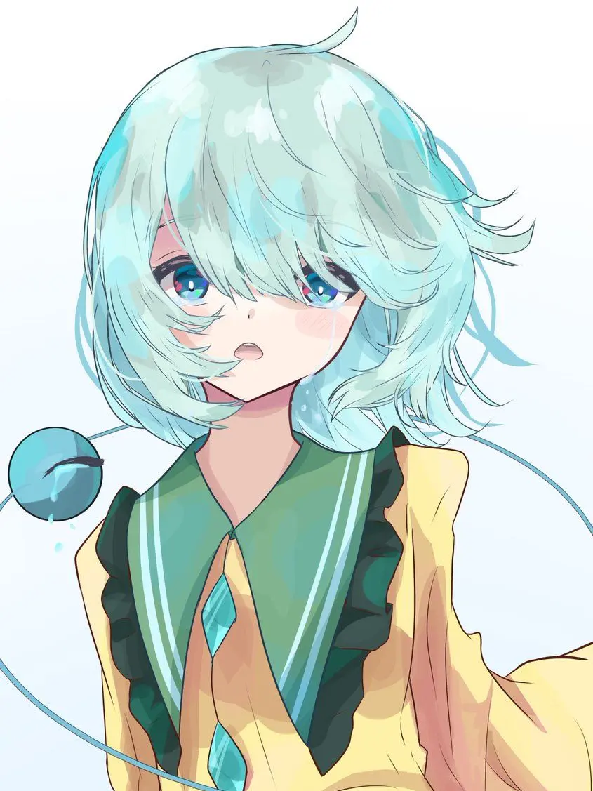 ZestySkua6426의 崩壊する幻想郷