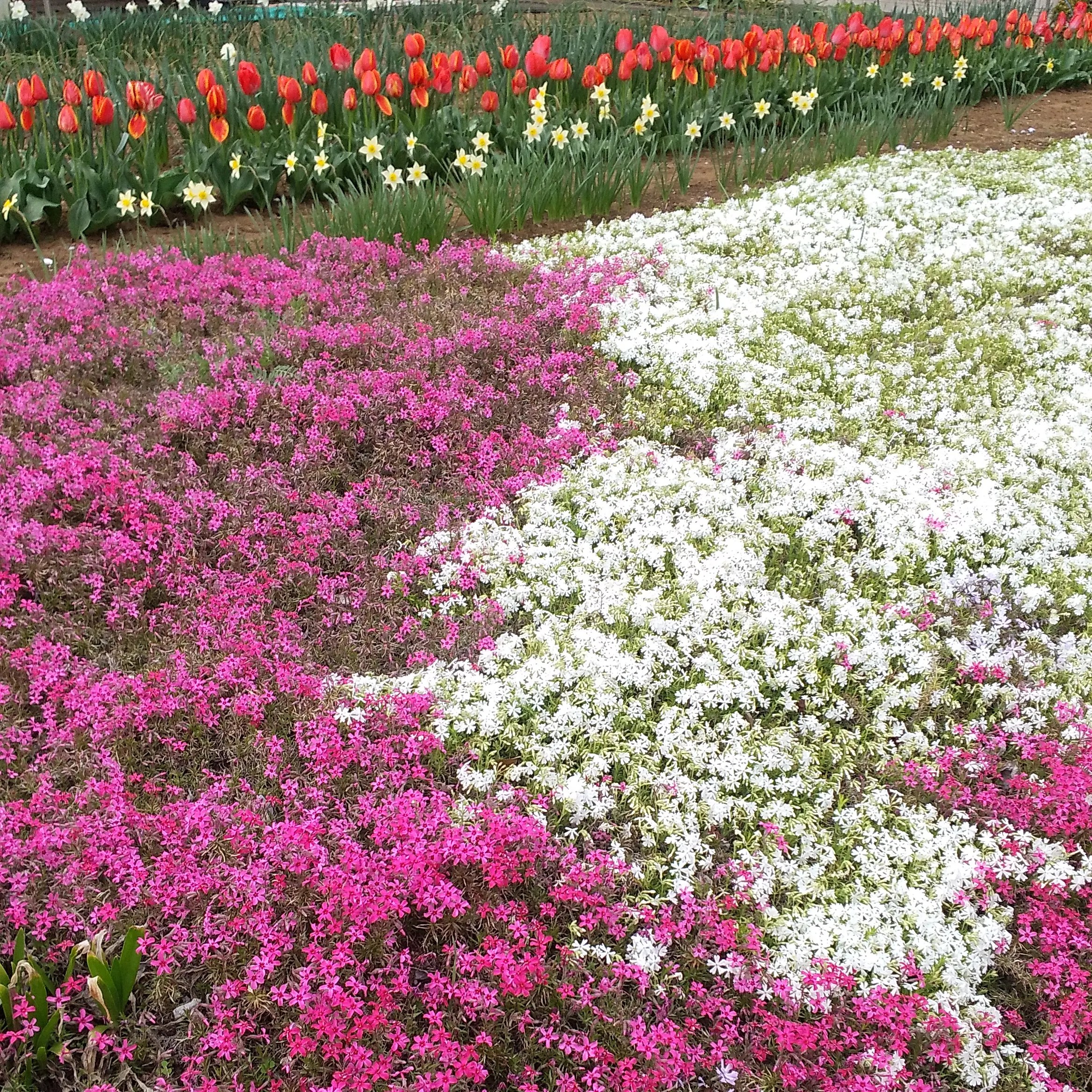 JoyfulSlab3987의 timelesz