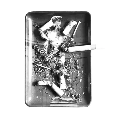 Profile image of 창태곤