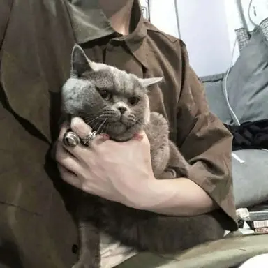 Profile image of 한서준