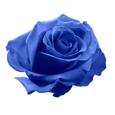 Profile image of 마츠노 카라마츠