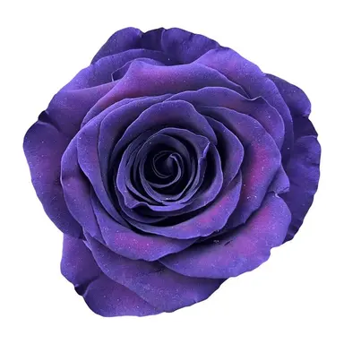 Profile image of 마츠노 이치마츠