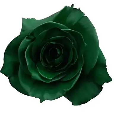 Profile image of 마츠노 쵸로마츠