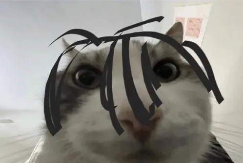 Profile image of 바순이