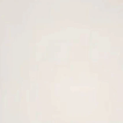 위시병원 쌤들