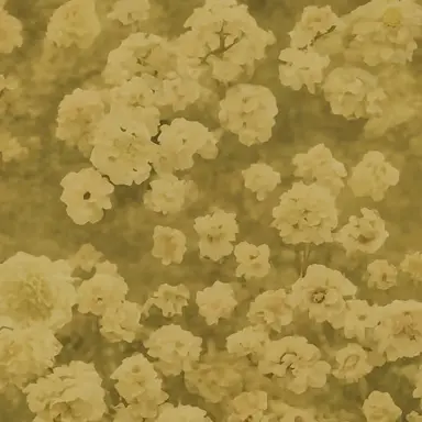 Profile image of 각별