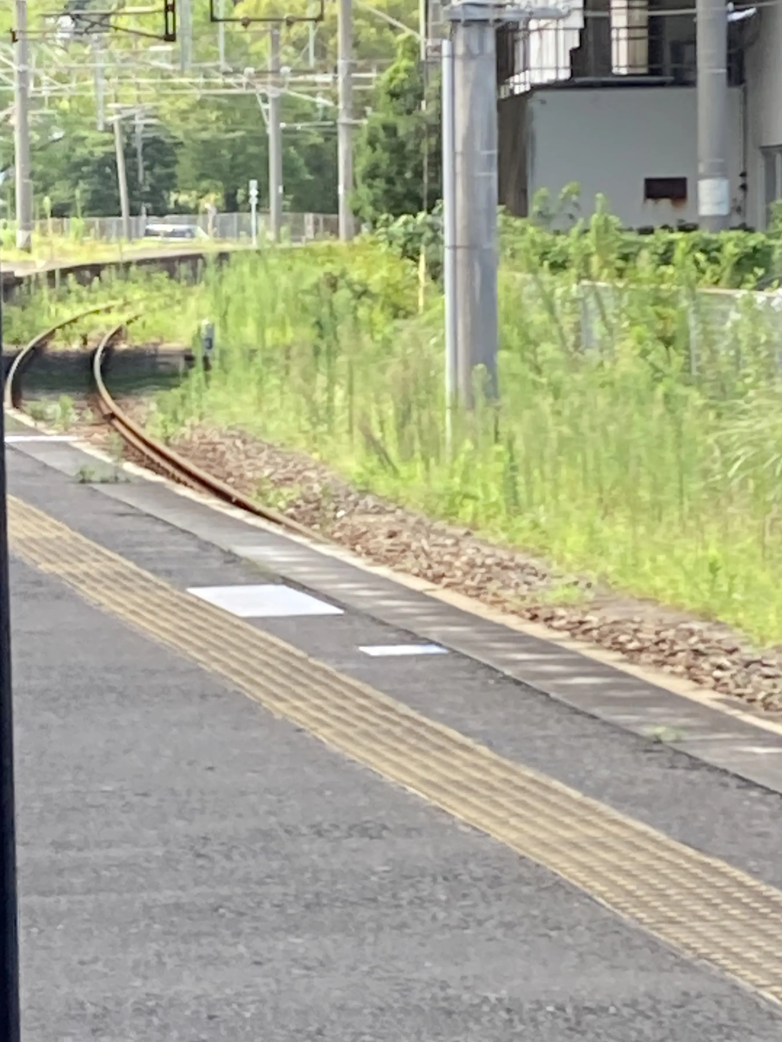 meikoutetudouE331의 山奥で二重人格のやべぇ精霊が出て来た件