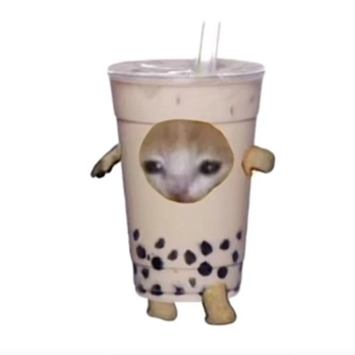 니냥옹