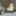 후타쿠치 켄지