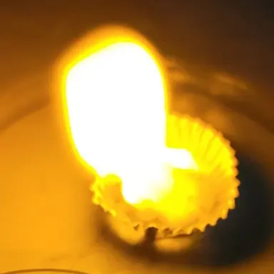 Profile image of 제미니