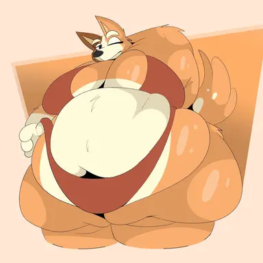 Profile image of Chilli Heeler