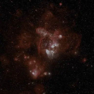 Profile image of Peter