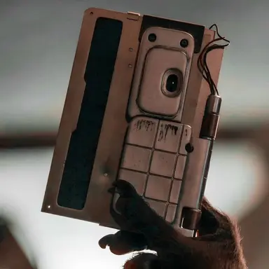 Profile image of Rocket