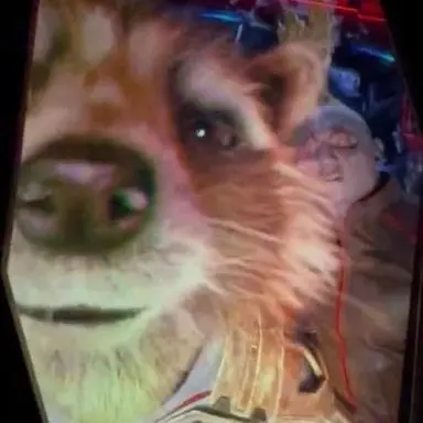 Profile image of Rocket