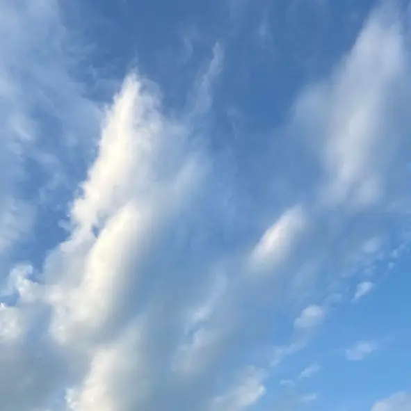 FabricRadio2565의 미수반과 초세여