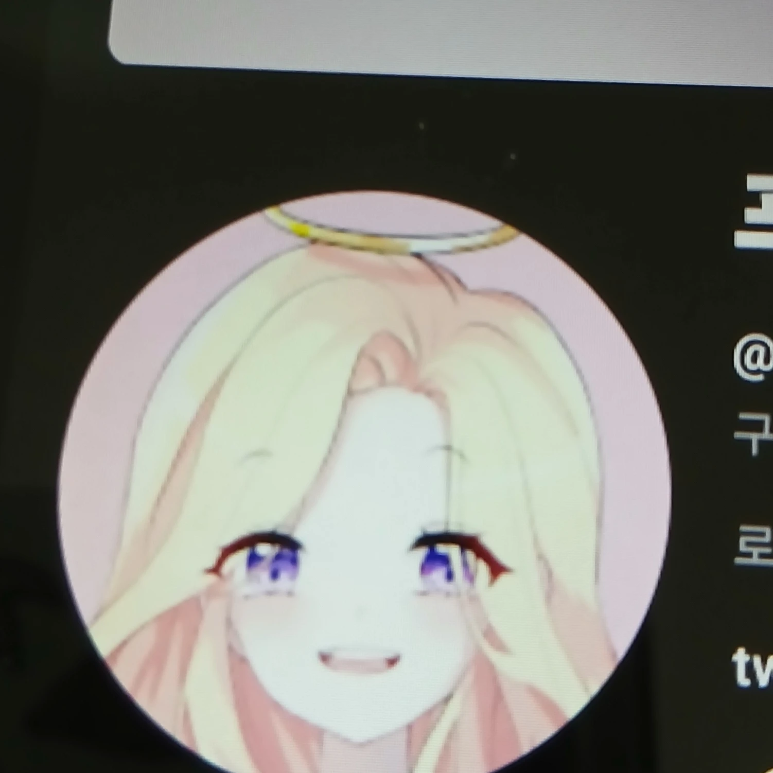 푸딩
