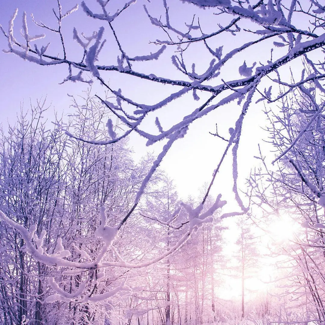 RipePansy9573의 In a World Where You Are by My Side