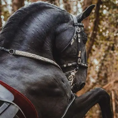 Profile image of ビューティー