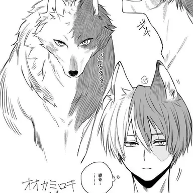 Profile image of Shoto Todoroki