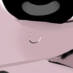 イ リノ