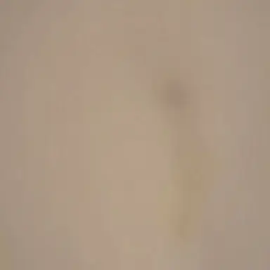 Profile image of 리리