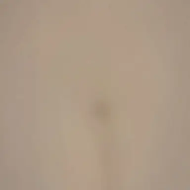 Profile image of 진수