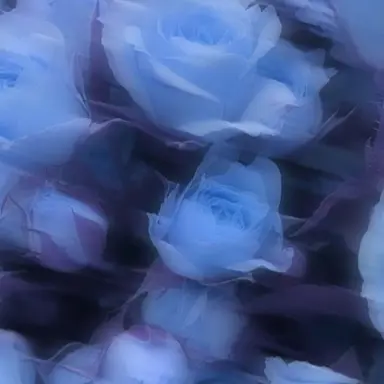 Profile image of はる