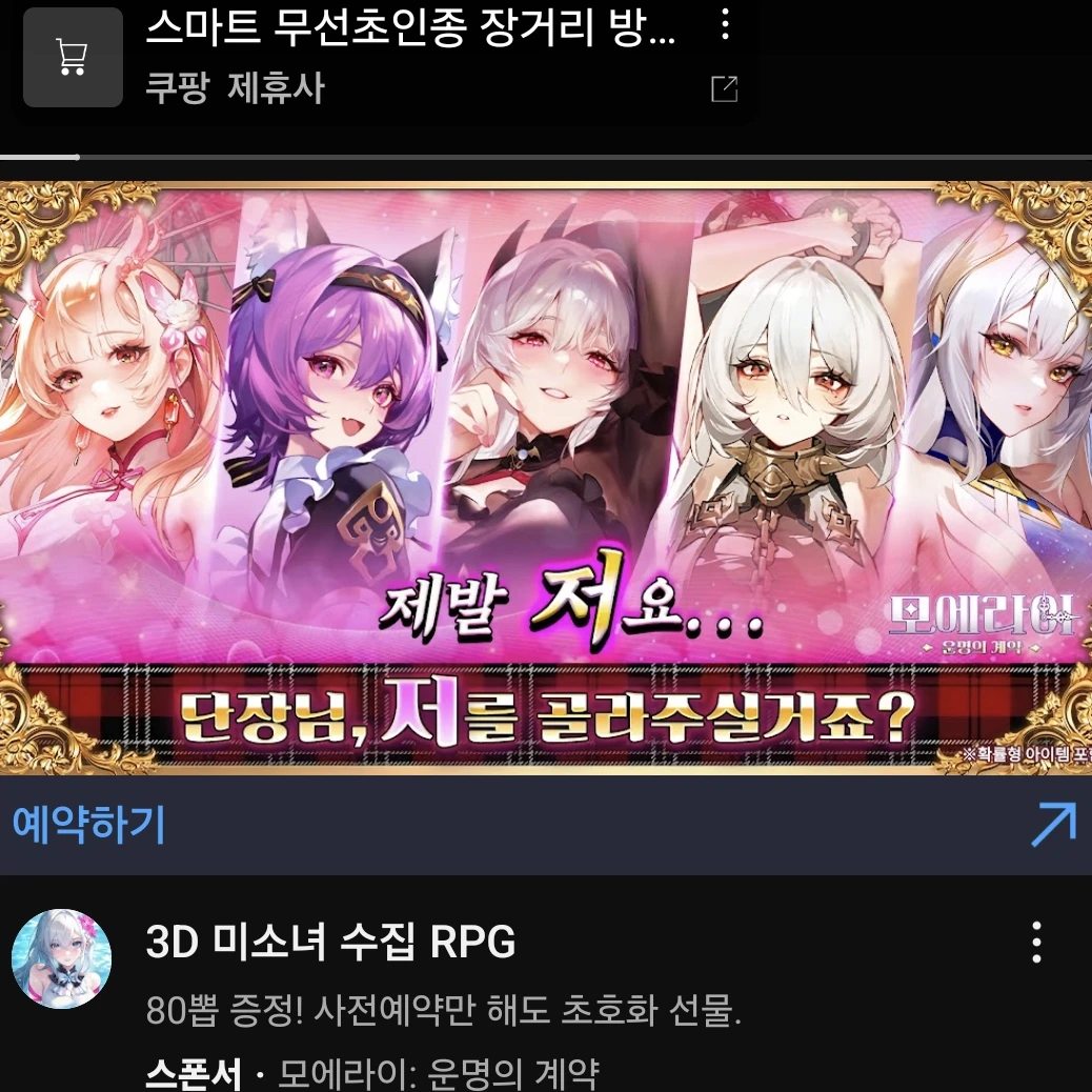 섹시한 누나들