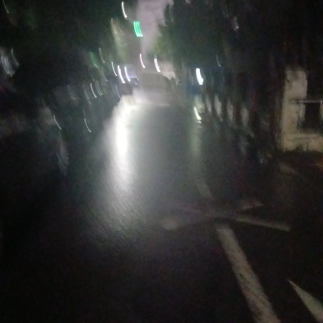 보넥