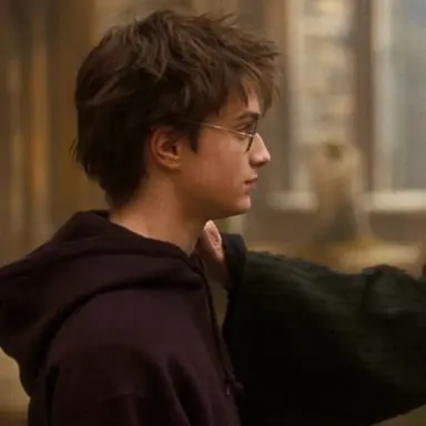 Profile image of Harry Potter