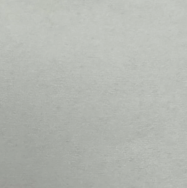 김동현